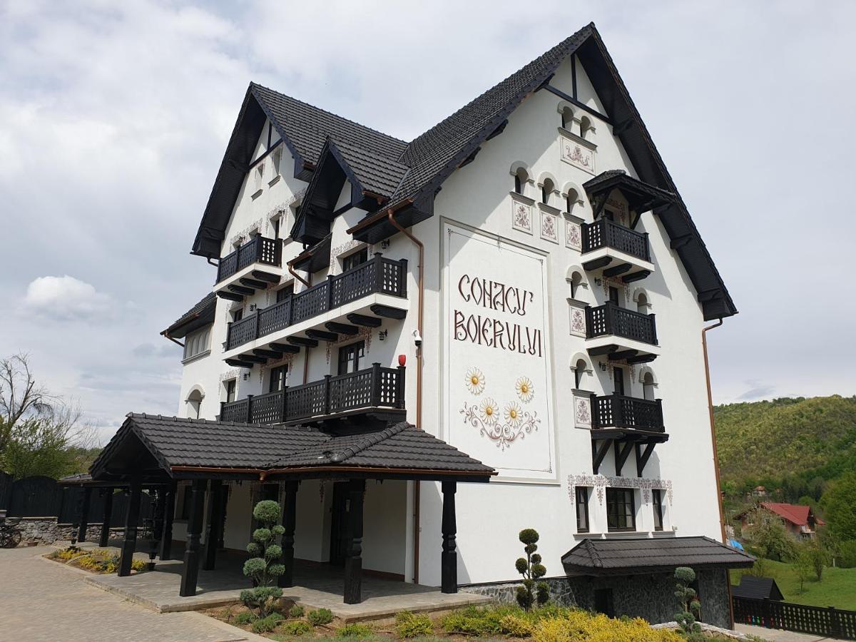Conacu' Boierului Hotel Ponoarele  ภายนอก รูปภาพ